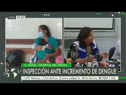 Informe de los casos de Dengue en Santa Cruz.