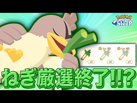 【ポケモンスリープ】ネギの厳選終わったぁぁぁぁ！！！！（Another カモ）