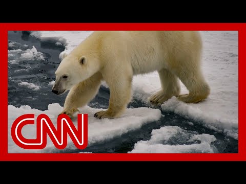 Study warns Artic could be sea ice-free by the 2030s