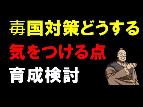 【キングダム乱】毐国対策どうしよう？気をつけるべき点は？次の育成どうしょう....