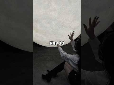 rarest bdays 🫶🏻🍀🎀 #music #song #fypシ゚viral #audio #explorepage #newjeans #roadto1k #blowup #edit