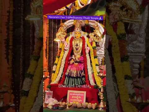 గజలక్ష్మీ దేవి #trending #viral #day3 #shorts #ytshorts #gajalakshmi #god #temple #fy #navratri #jai