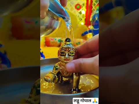 सेवा भाव 🙏❤🌺#bhakti #vrindavan #radharani #radheshyaam #viral #shorts #ytshorts#laddugopal
