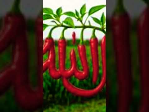 allah 🤲🕋🤲mere dost comment Mein Allah likhen#youtubeshorts#deen# share#trending