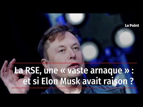 La RSE, une « vaste arnaque » : et si Elon Musk avait raison ?