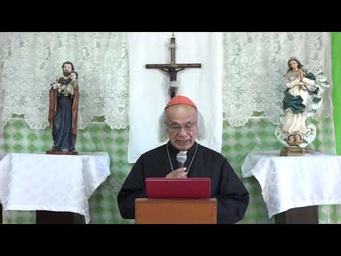 Cardenal Brenes invita a sumarse a jornada de santo rosario del Papa Francisco