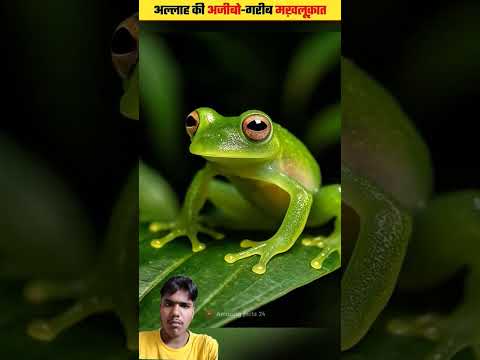 अल्लाह की अजीबो गरीब मखलूक 😮😮 #facts #amazingfacts #knowledge #randomfacts #animals #shortsvideo