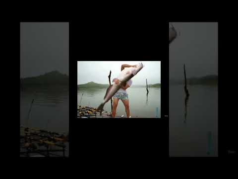 machli mujhe hi pani me gira diya yrr 😂 #reels #reelscreator #trendingshorts #explore