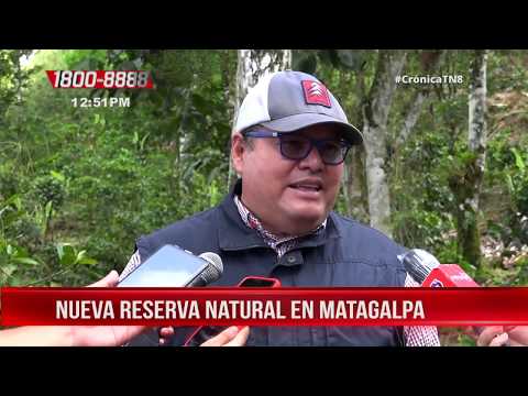 Finca Encantos de Guadalupe, declarada reserva silvestre privada - Nicaragua
