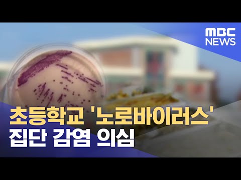 초등학교 '노로바이러스' 집단 감염 의심 (2023.10.31/뉴스데스크/MBC경남)