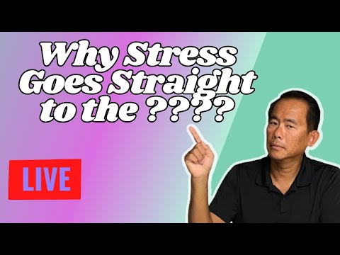 Why Stress Goes Straight to the ????