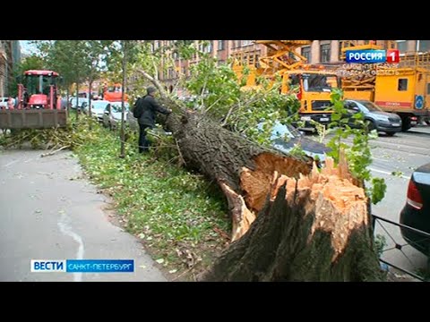 Вести Санкт-Петербург. Выпуск 14:30 от 14.09.2021
