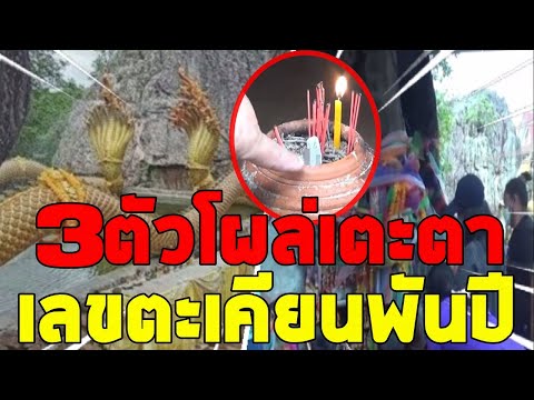 3ตัวโผล่-ชาวบ้านแห่กราบไหว้ปู่ 3ตัวโผล่-ชาวบ้านแห่กราบไหว้ปู่