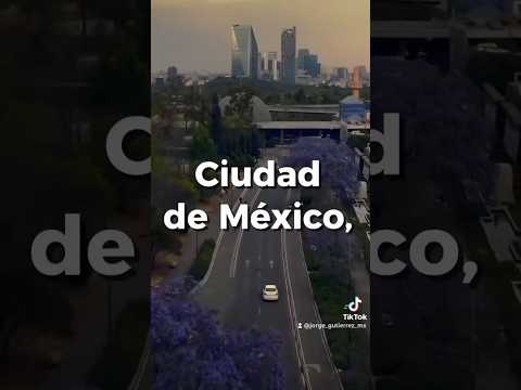 este es el #himno de la #cdmx compuesto por Marcela Rodríguez #viral #shorts