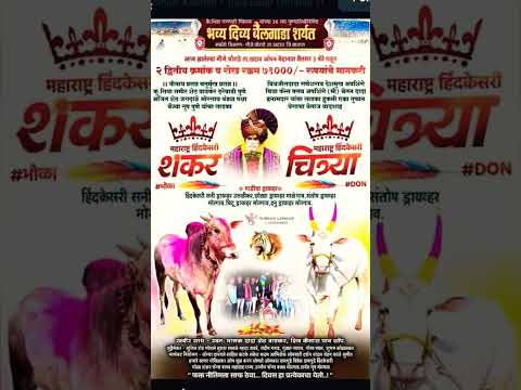 हिंदकेसरी भोळा शंकर आणि हिंदकेसरी चित्र्या | द्वितीय क्रमांकाचे मानकरी | #बकासुर #bailgadasharyat