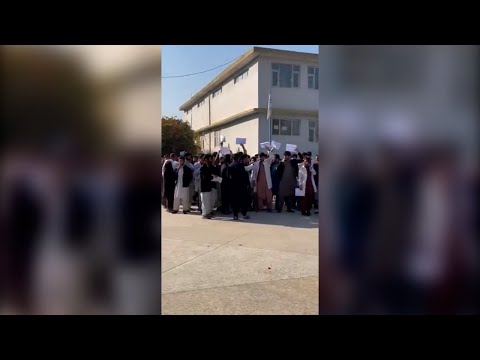 Estudiantes protestan en Kabul luego que los talibanes cerraran las universidades a mujeres afganas