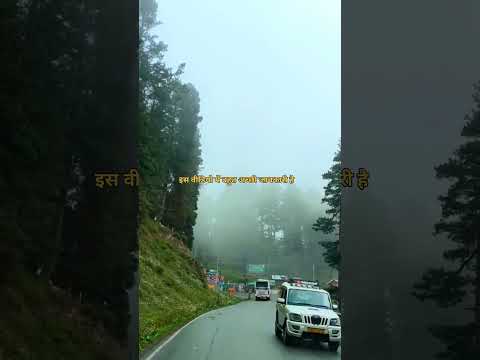 मैं वीडियो में बहुत अच्छी जानकारी वीडियो पूरा #islamicstoriesinurduandhindi #हास्य #highlights