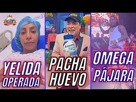 YELIDA OPERADA ENTERA/ PACHA PONE HUEVO/ OMEGA PAJARÍSIMO | BREVES Y PULLUAS