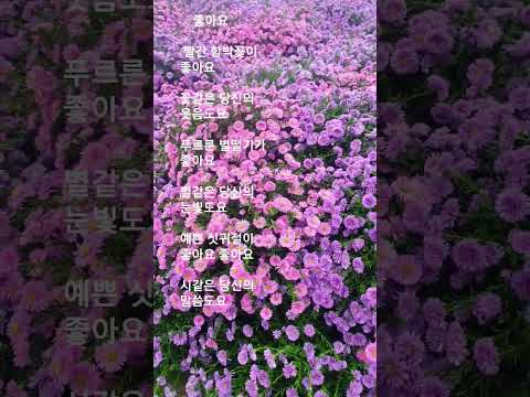 #좋아요    #송창식  #빨간 함박꽃이 좋아요. .....    #시같은 당신의 말씀도요