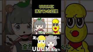 UUUMに落ちていた豆狸