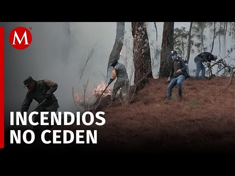 Continúan 7 incendios forestales activos en Oaxaca; uno fue provocado por tormenta eléctrica