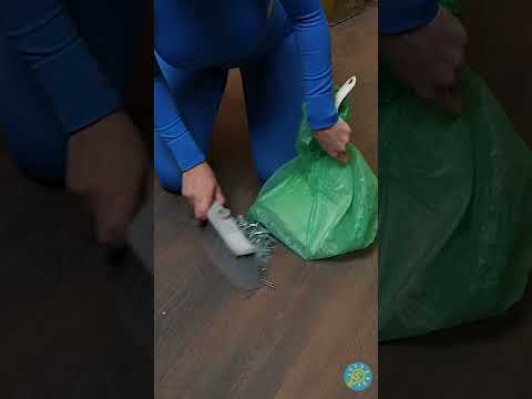 Ha raccolto la scatola di viti in pochi secondi 🧲