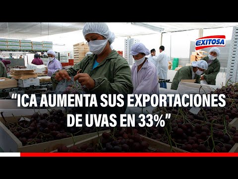 Fernando Cillóniz: Ica aumenta sus exportaciones de uvas en 33%