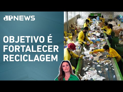 Câmara aprova projeto que proíbe importação de resíduos sólidos; Patrícia Costa analisa