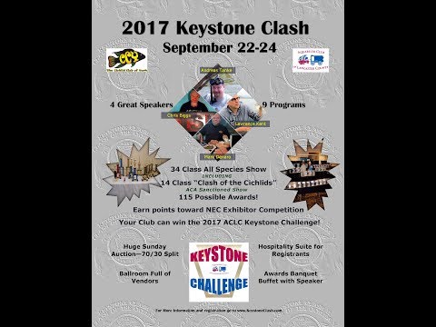 Keystone Clash Helps Ted Coletti Kurt Johnston and Scott McLaughlin make special accomodations for Dr. Ted Coletti at the 2017 Keysto