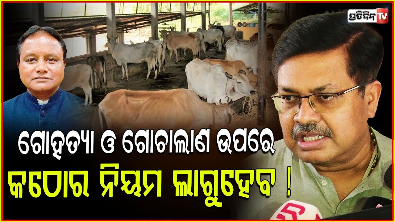 ଗୋହତ୍ୟା ଓ ଗୋଚାଲାଣ ନିରୋଧ ବିଲ୍ ଆଣିବେ BJP ସରକାର। Orissa Prevention of Cow Slaughter Act.