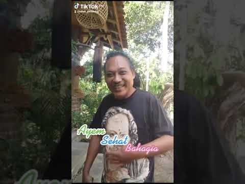 mBah Gelung: Hidup Ayem, Sehat, Bahagia.