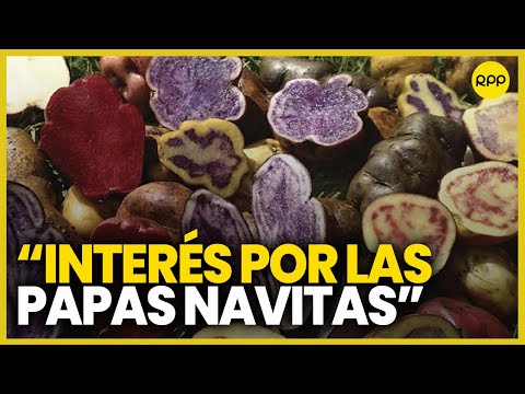 Perú primer productor de papa en América Latina