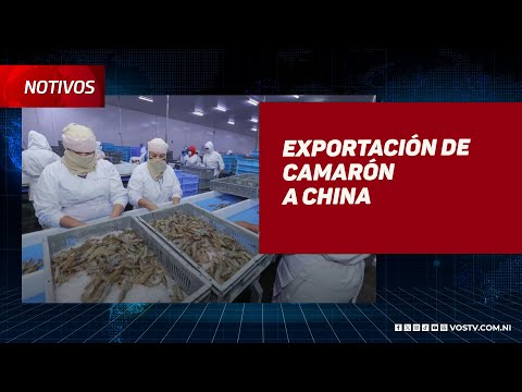 Industria camaronera con altas expectativas para exportar hacia China