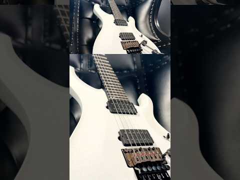 Floyd Rose on a PRS?!