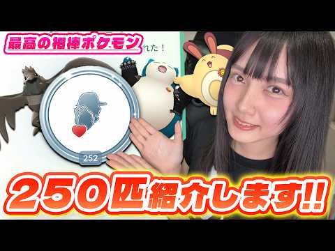 祝!!最高の相棒250匹達成!!相棒ポケモンBOX紹介!!【ポケモンGO】