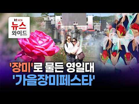 '장미'로 물든 영일대 '가을장미페스타' / ktHCN 경북방송