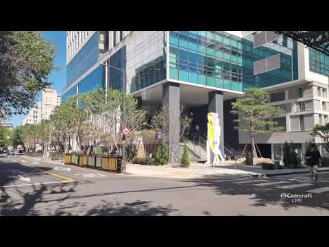 올인방송's 사라지는 검찰청, 임대건물 깡통중수청 앞에서(2026/10/01)(후원: <strong>농협</strong> 333053-51-072090 조영환)