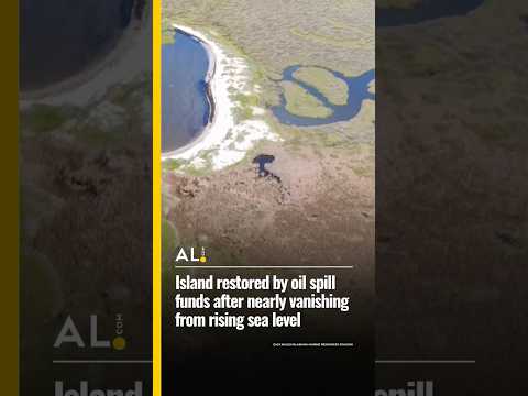 Island restored by oil spill funds after nearly vanishing from rising sea level