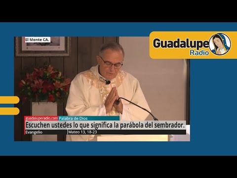 Evangelio de hoy 26/julio/2024