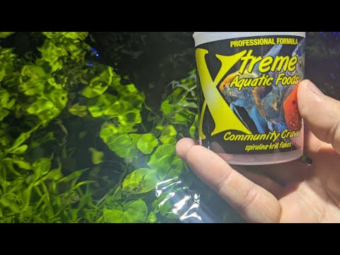 Fish Food Friday_ Community Crave 