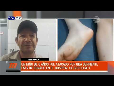 Niño fue atacado por una víbora en Curuguaty