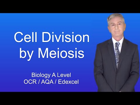 A Level Biology Revision “Cell Division by Meiosis”.