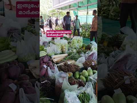 ഈ ടിപ്പ് അറിഞ്ഞാൽ കൂടുതൽ പണം നേടാം 👍#shortsfeed #shortvideo #shorts