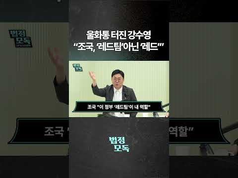 울화통 터진 강수영 "조국, '레드팀'아닌 '레드'"