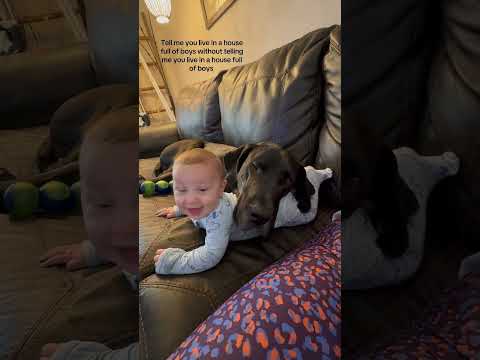 Phillies land All-Star closer Jhoan Duran ahead of MLB trade deadline 👀🔥 #JhoanDuran