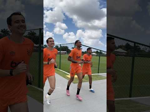 image para ilustrar o artigo