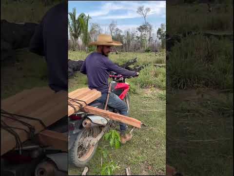 Trabalho de hoje #trabalho