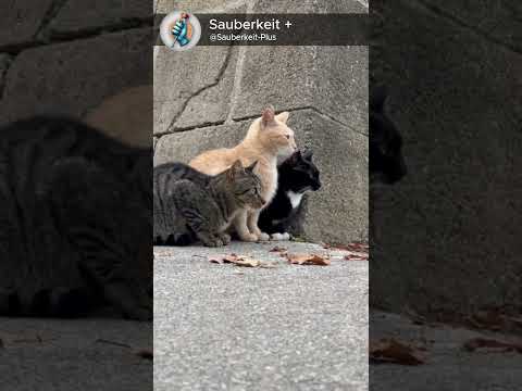 They’ve seen things you wouldn’t believe 👀🐾