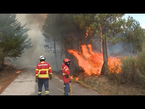 Firefighters battle national park blaze in central Portugal | AFP