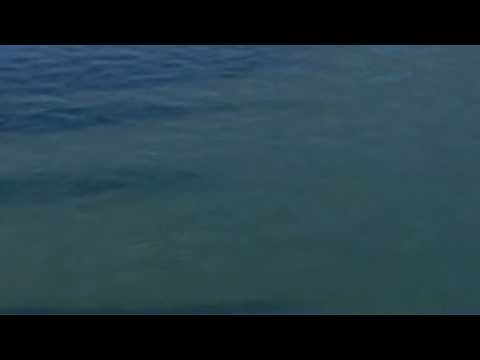 Drone <strong>Archive</strong>: Skagit River Morning